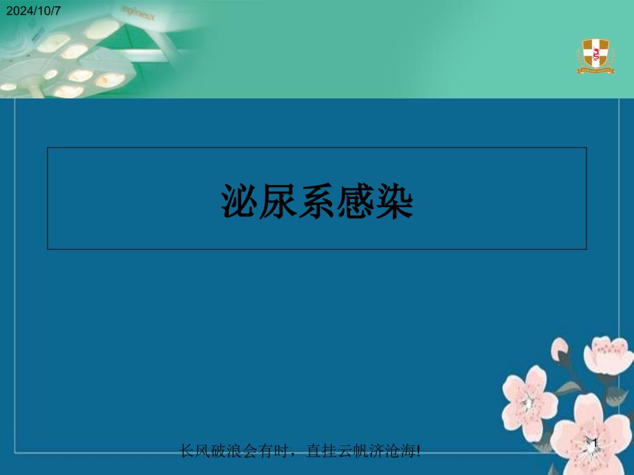 2011版泌尿系感染指南优秀PPT_第1页