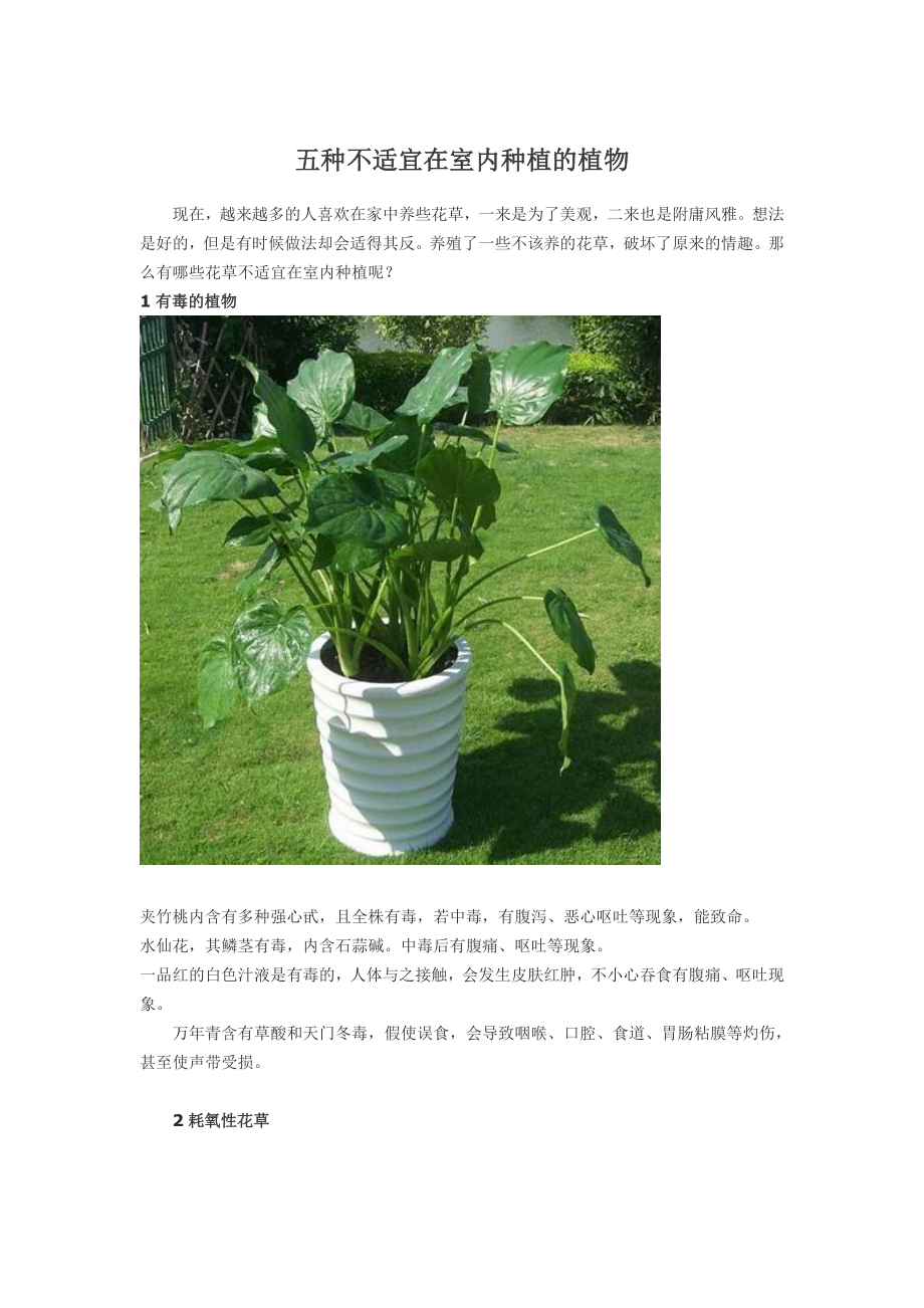 五种不适宜在室内种植的植物_第1页