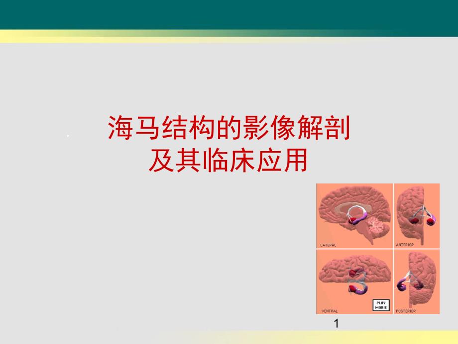 培训_海马结构的影像解剖及其临床应用PPT演示课件_第1页