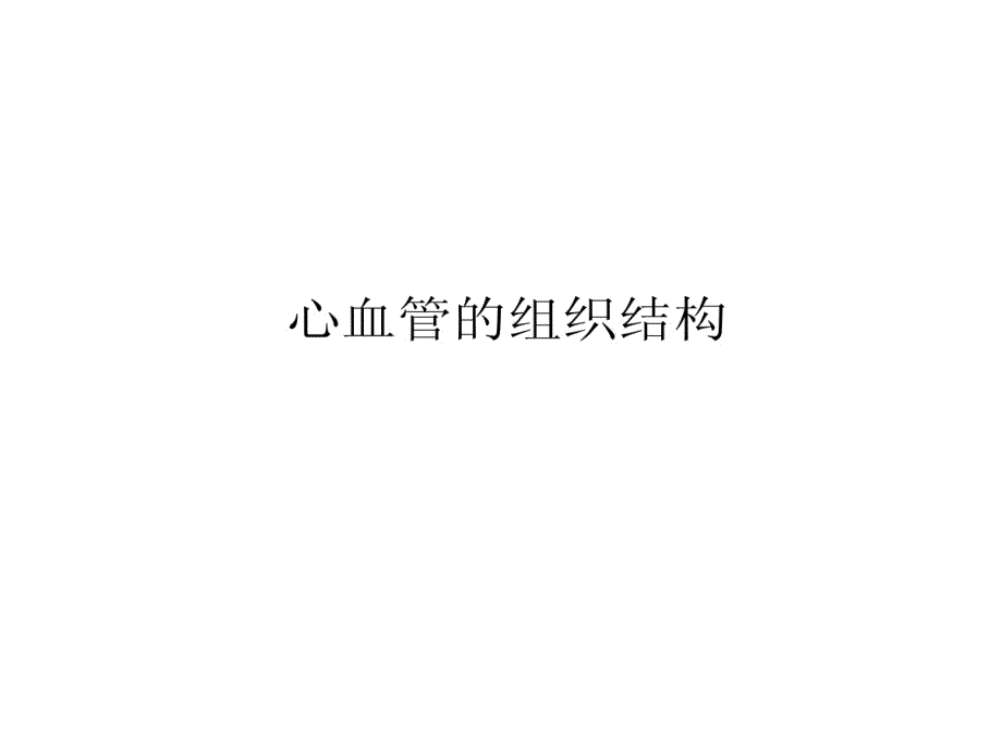 心血管解剖结构19张课件_第1页