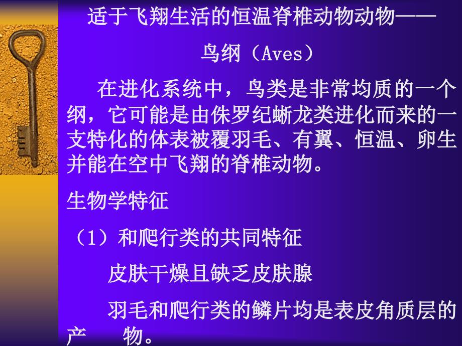 动物学-14鸟纲(Aves)课件_第1页