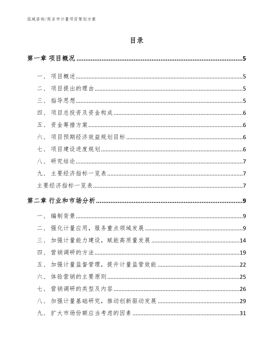 延吉市计量项目策划方案范文参考_第1页