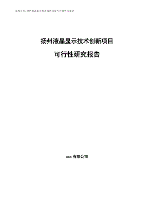 扬州液晶显示技术创新项目可行性研究报告