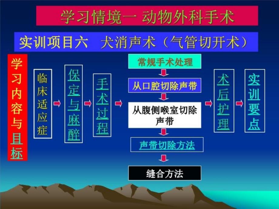 实训项目任务六-消声手术共27张课件_第1页