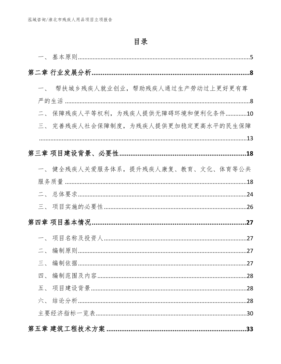 淮北市残疾人用品项目立项报告（参考模板）_第1页
