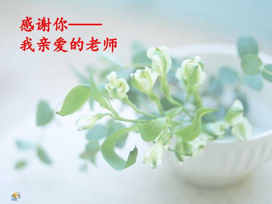 感谢你——我亲爱的老师主题班会课件_第1页