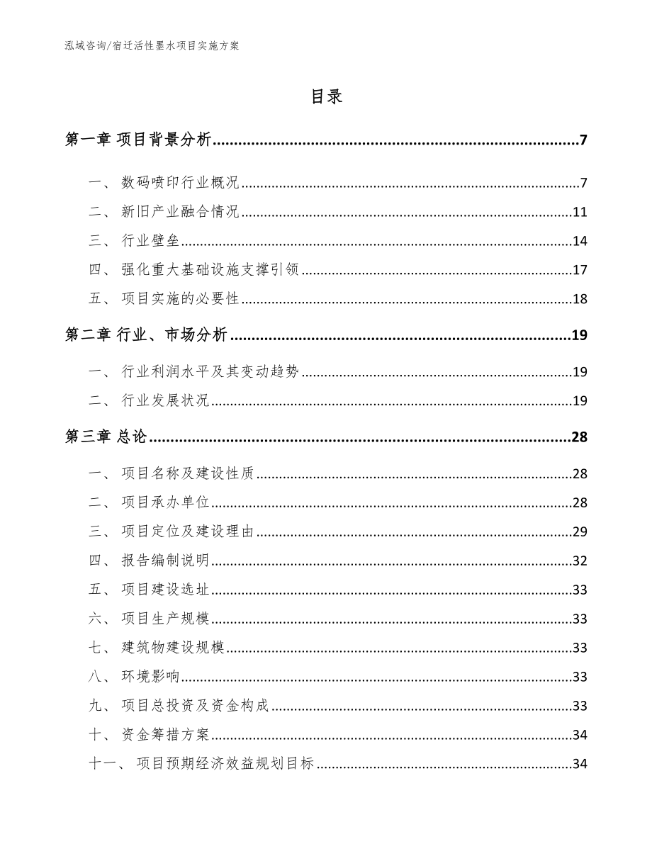 宿迁活性墨水项目实施方案（范文模板）_第1页