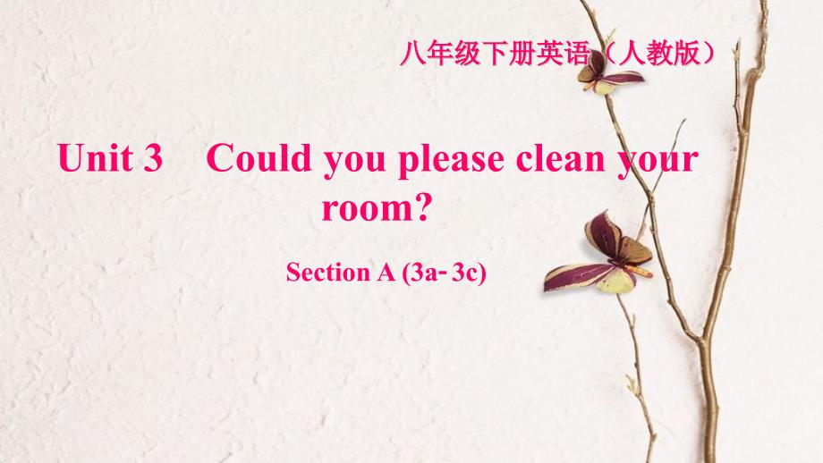 八年级英语下册 Unit 3 Could you please clean your room Section A(3a-3c)习题课件 （新版）人教新目标版_第1页