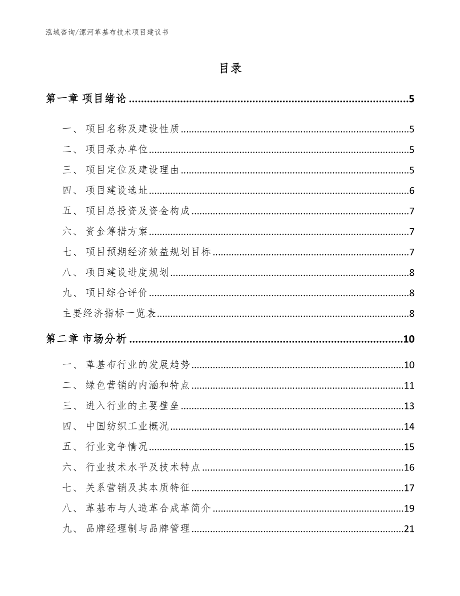 漯河革基布技术项目建议书_第1页