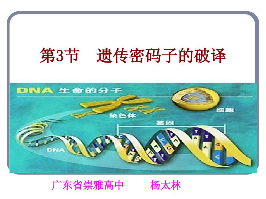 必修2第四章第三节遗传密码子破译(精品)_第1页