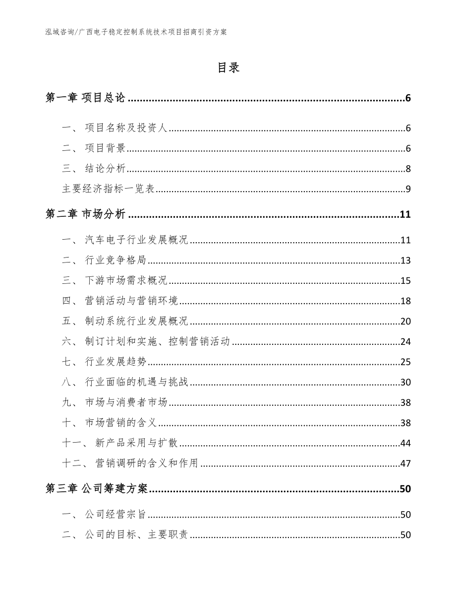 广西电子稳定控制系统技术项目招商引资方案（参考范文）_第1页