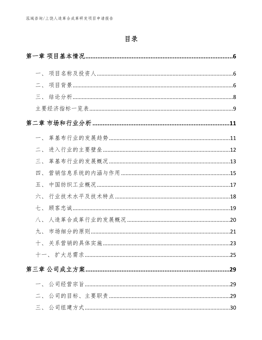 上饶人造革合成革研发项目申请报告_第1页