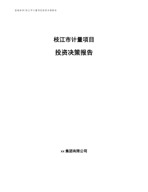 枝江市计量项目投资决策报告【参考模板】