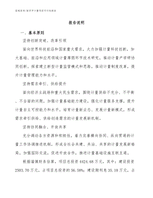 南京市计量项目可行性报告模板范本