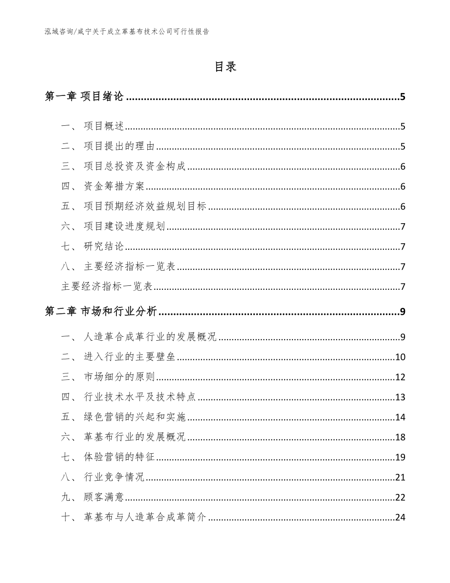 咸宁关于成立革基布技术公司可行性报告（范文模板）_第1页