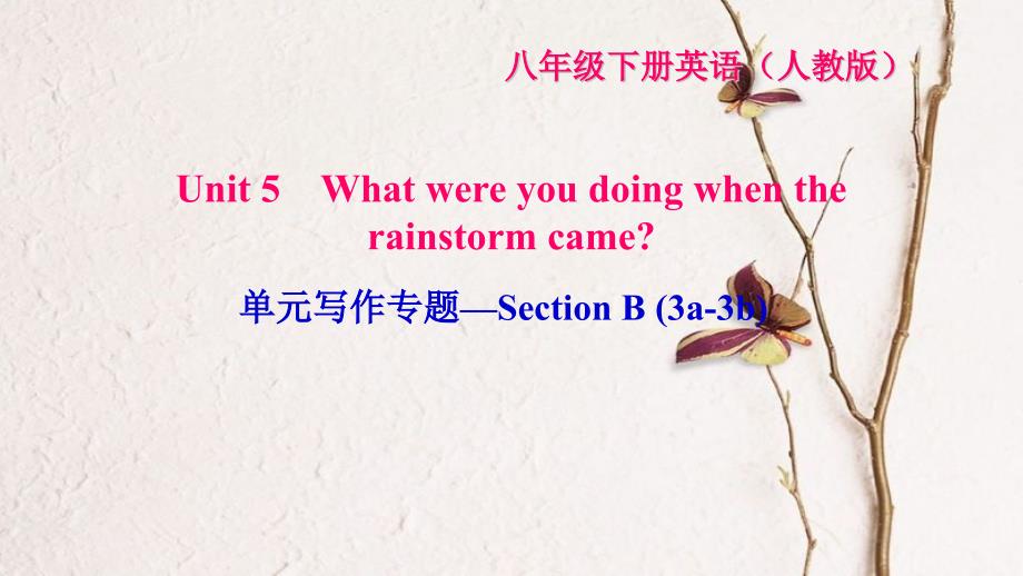 八年级英语下册 Unit 5 What were you doing when the rainstorm came写作专题—Section B(3a-3b)习题课件 （新版）人教新目标版_第1页