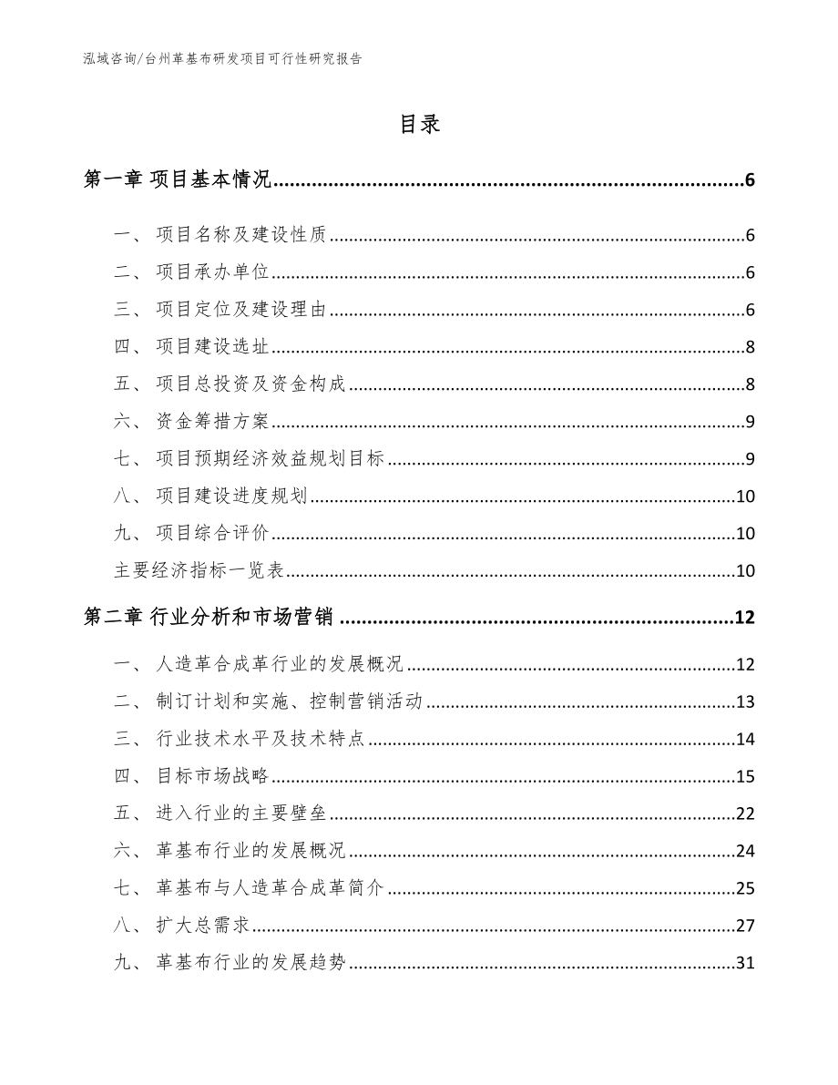 台州革基布研发项目可行性研究报告模板_第1页