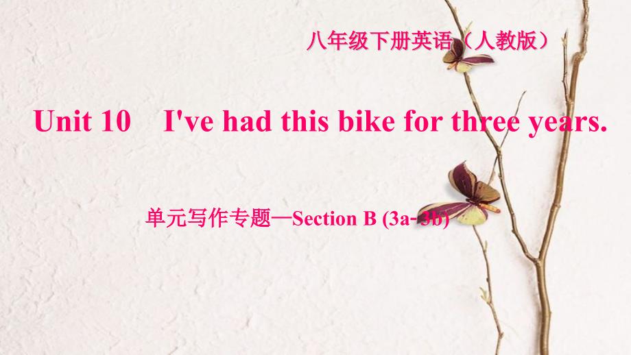 八年级英语下册 Unit 10 I've had this bike for three years写作专题—Section B(3a-3b)习题课件 （新版）人教新目标版_第1页