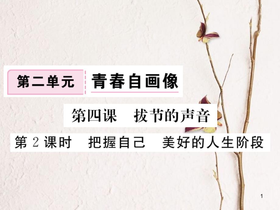 八年级道德与法治上册 第二单元 青春自画像 第四课 拔节的声音 第2框《把握自己美好的人生阶段》习题课件 人民版_第1页