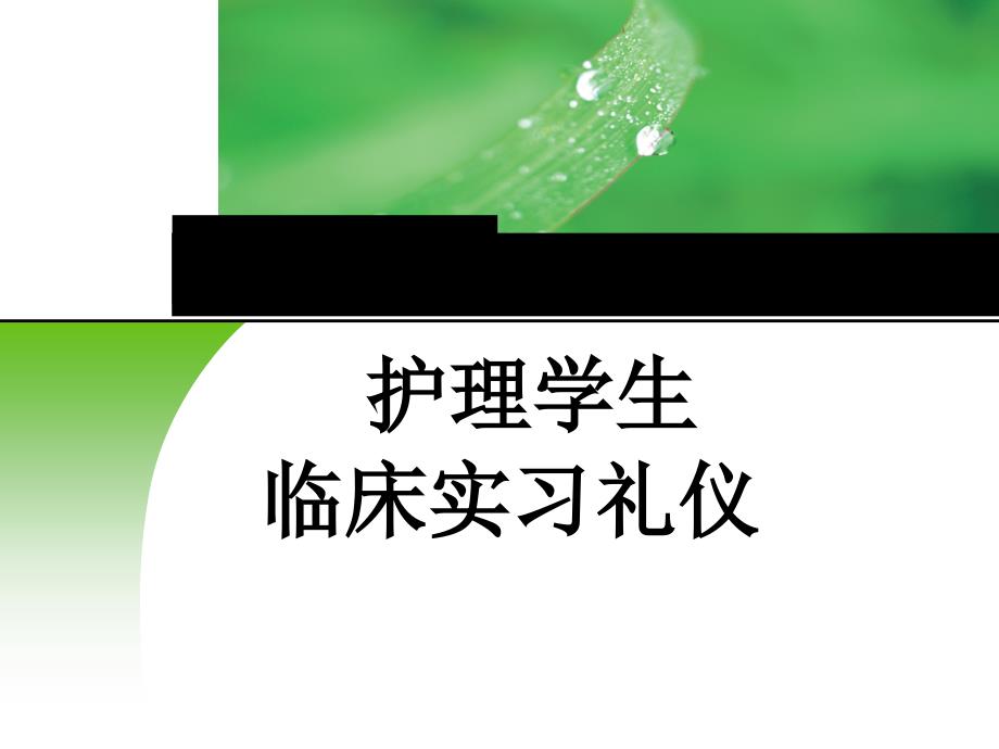 护生实习礼仪(38张)课件_第1页