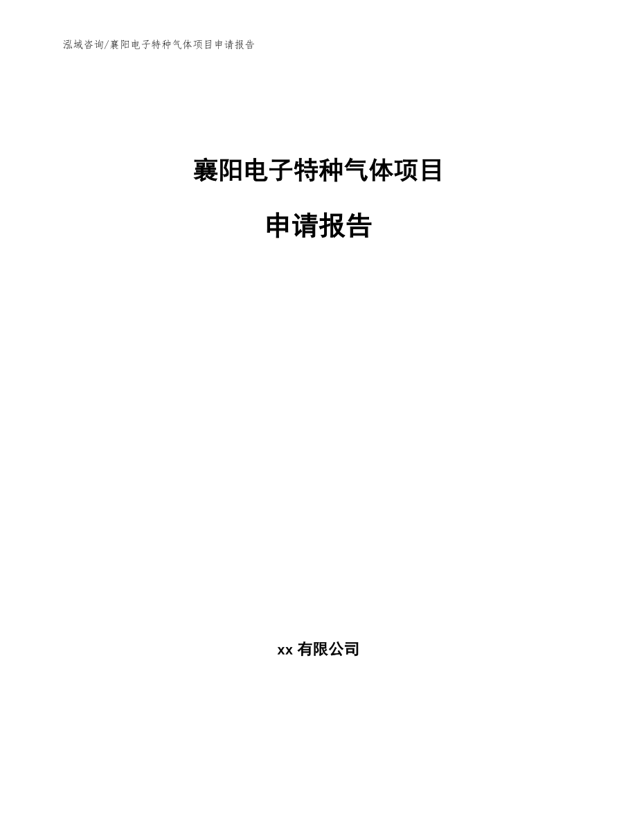 襄阳电子特种气体项目申请报告_第1页