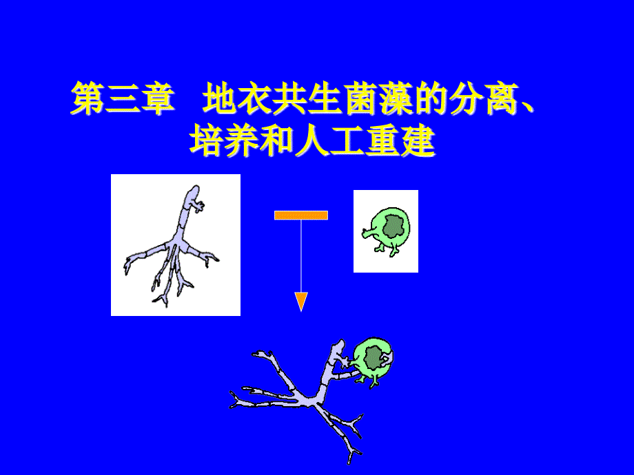 的分离、培养和人工重建(精品)_第1页