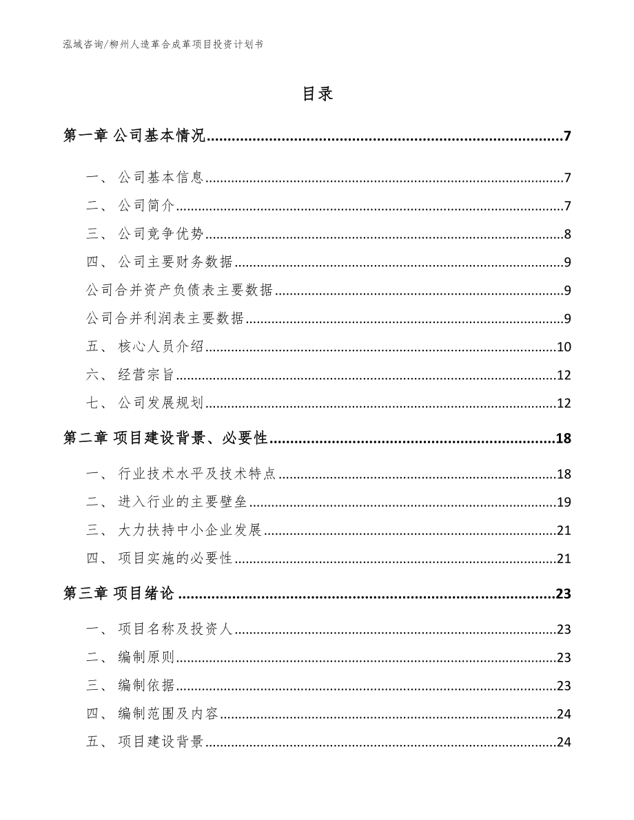 柳州人造革合成革项目投资计划书模板参考_第1页