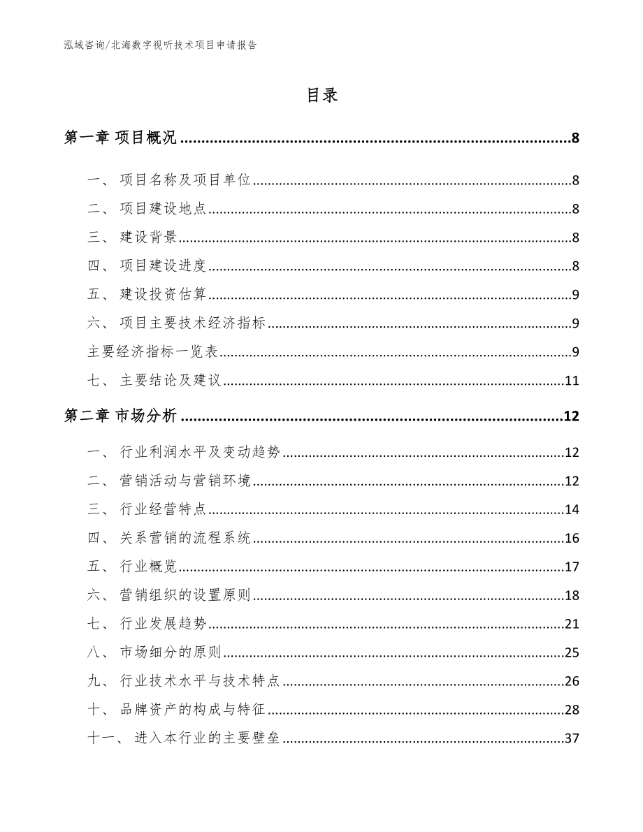 北海数字视听技术项目申请报告范文_第1页