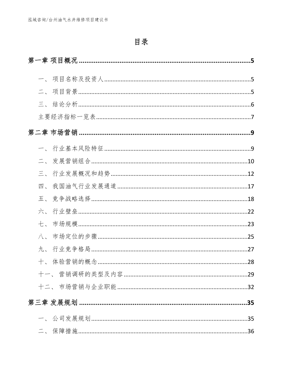台州油气水井维修项目建议书【参考范文】_第1页