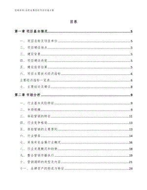 岳阳金属回收项目实施方案（模板范文）