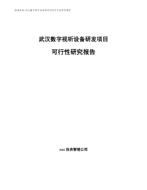 武汉数字视听设备研发项目可行性研究报告_范文