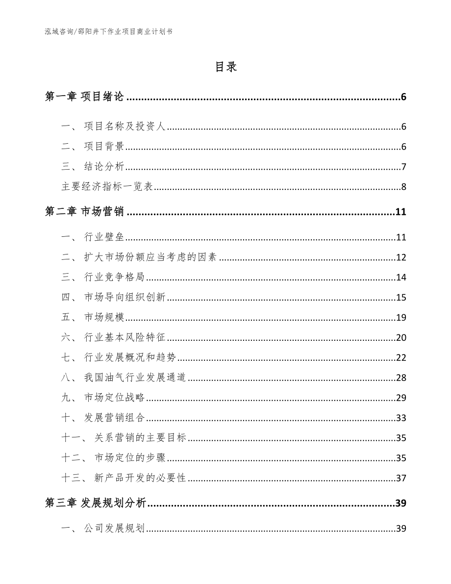 邵阳井下作业项目商业计划书_参考范文_第1页