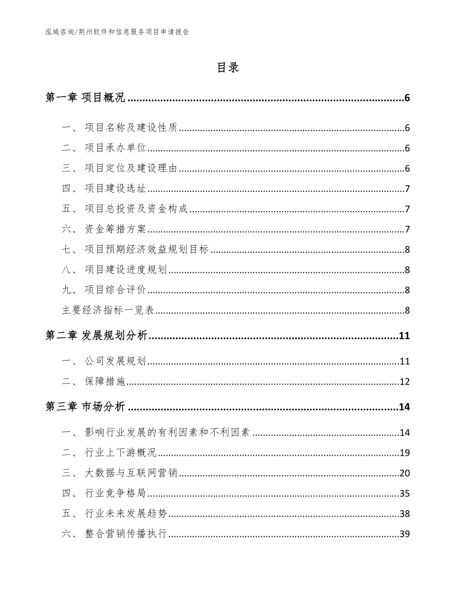 荆州软件和信息服务项目申请报告范文参考_第1页