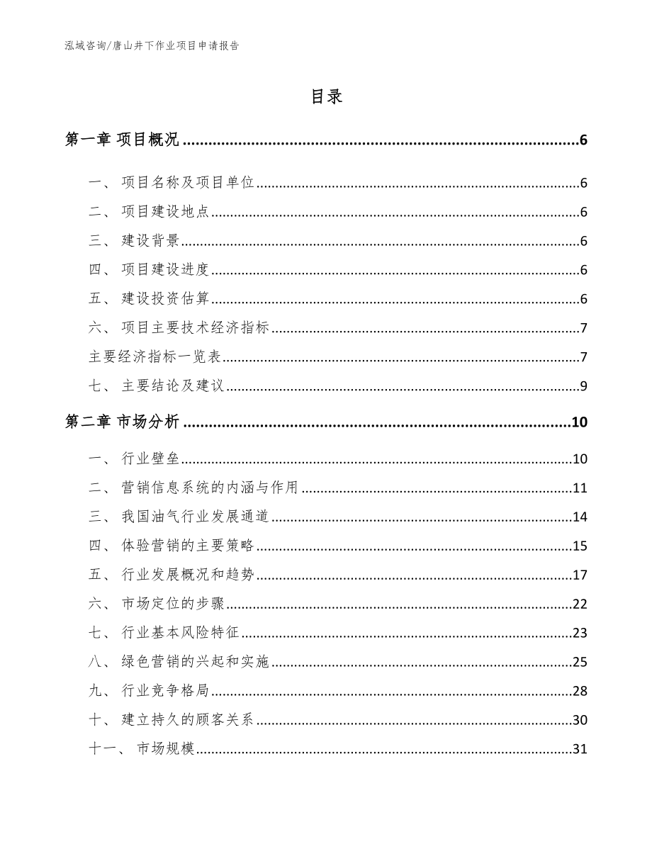 唐山井下作业项目申请报告【模板参考】_第1页