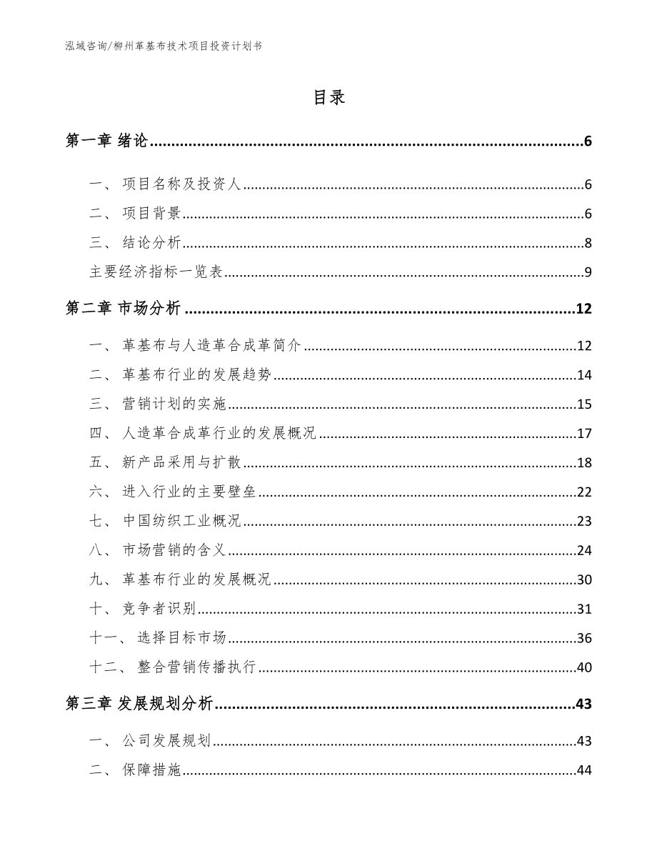 柳州革基布技术项目投资计划书_范文_第1页