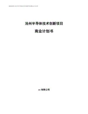 沧州半导体技术创新项目商业计划书（范文模板）