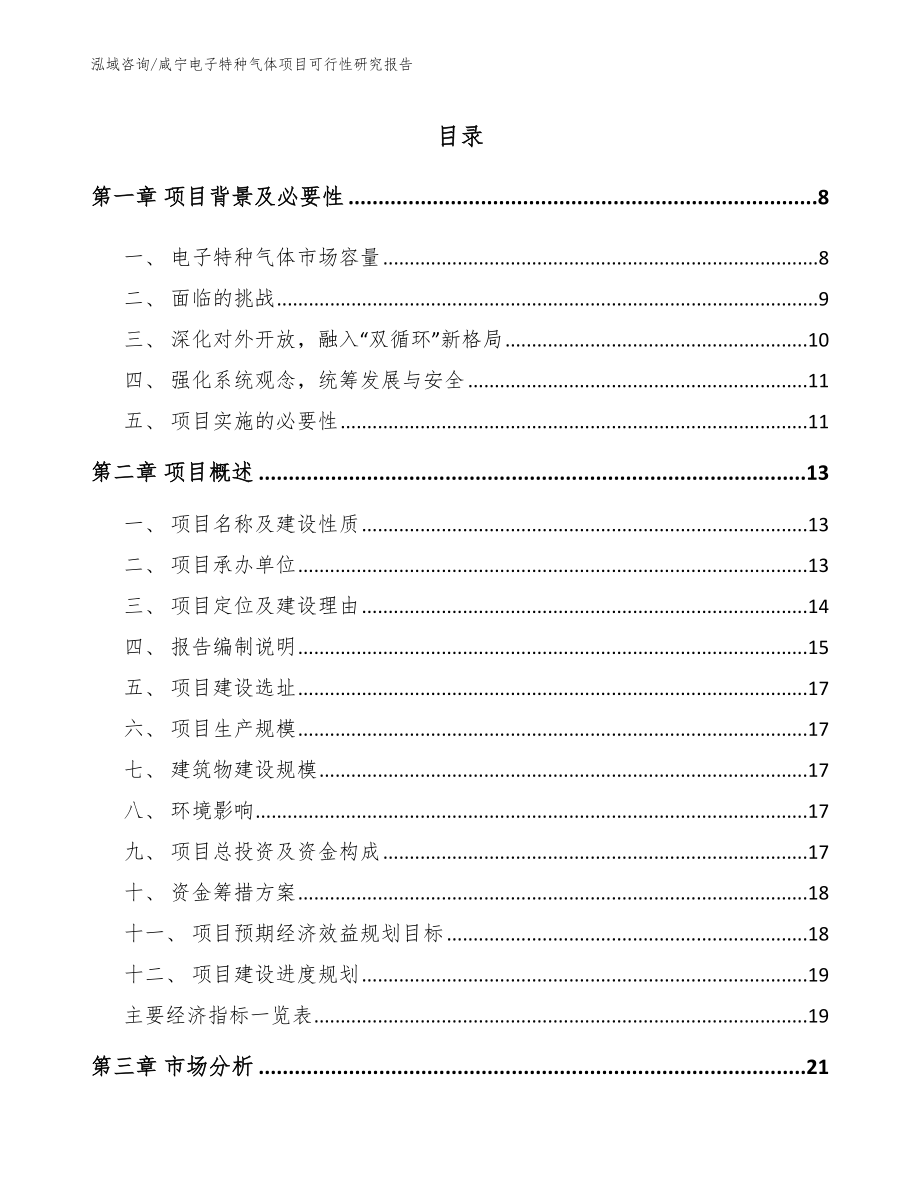 咸宁电子特种气体项目可行性研究报告（模板范文）_第1页
