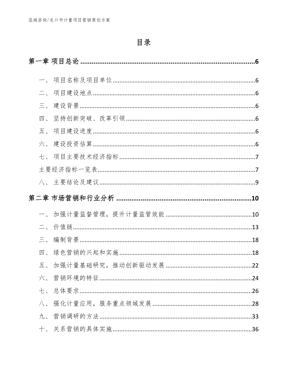 龙口市计量项目营销策划方案（参考模板）_第1页