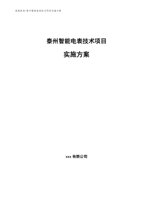 泰州智能电表技术项目实施方案