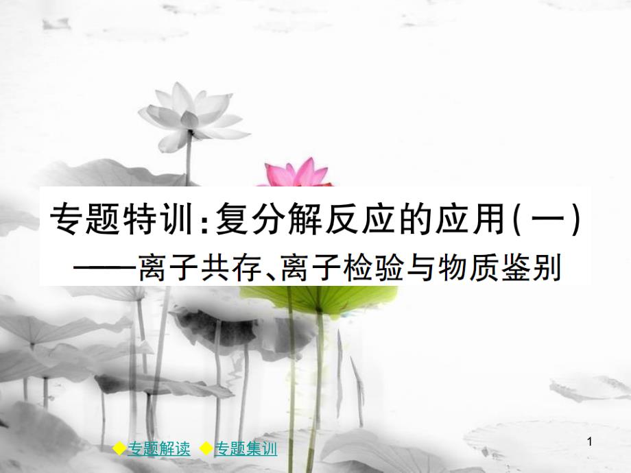 年春九年级化学下册 第十一章 盐 化肥 专题特训 复分解反应的应用（一）课件 （新版）新人教版_第1页