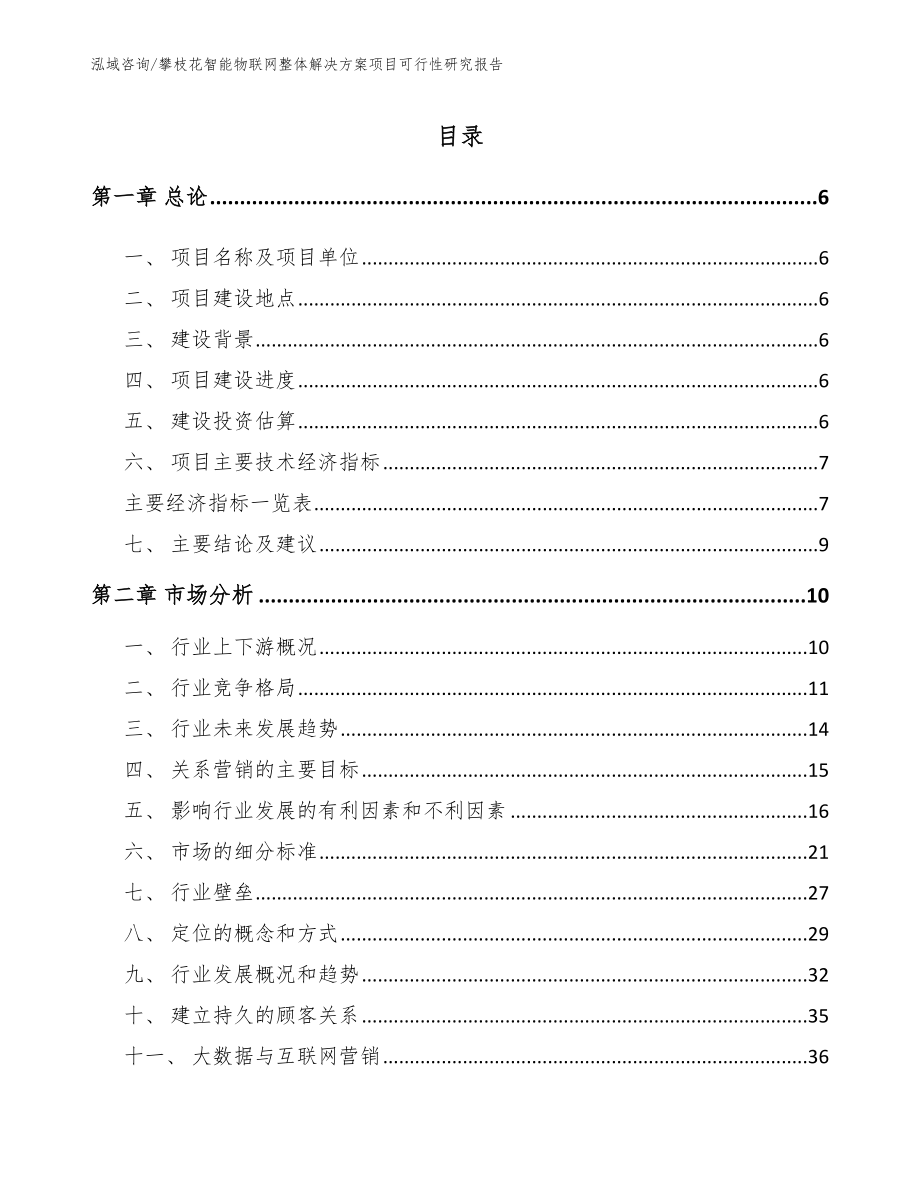 攀枝花智能物联网整体解决方案项目可行性研究报告_第1页