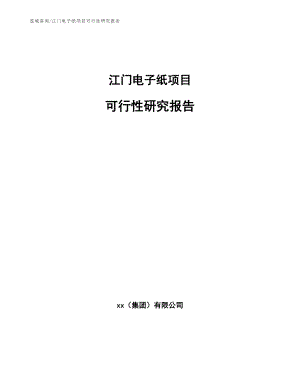 江门电子纸项目可行性研究报告