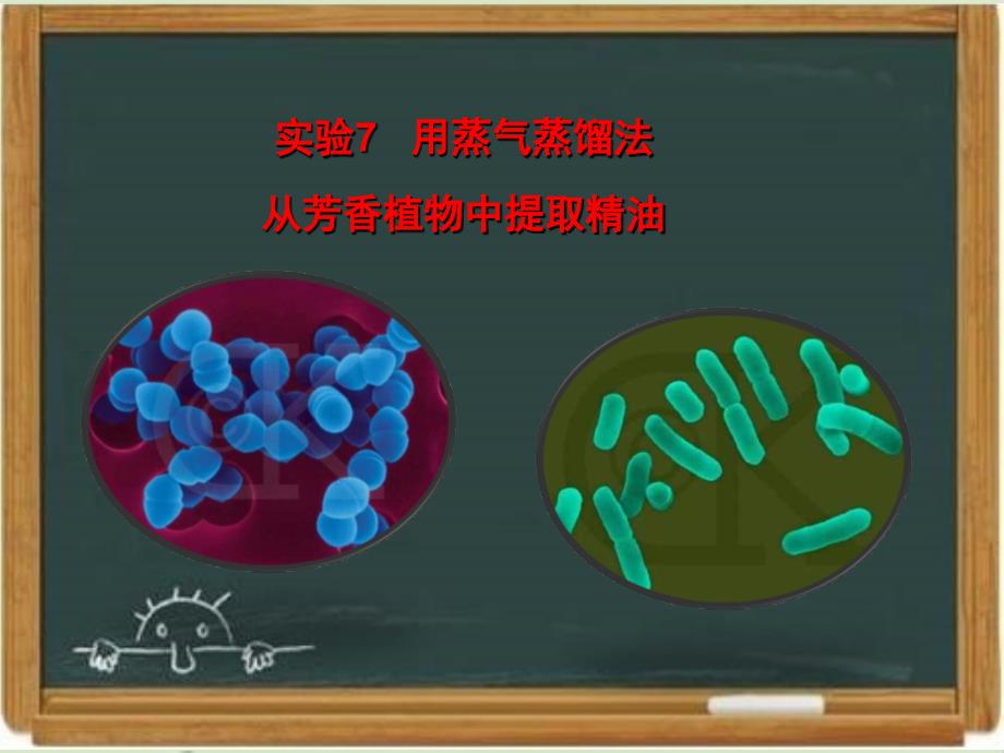 浙科版生物选修一《生物技术实践-》《用蒸气蒸馏法从芳香植物中提取精油》讲授课件-新版_第1页