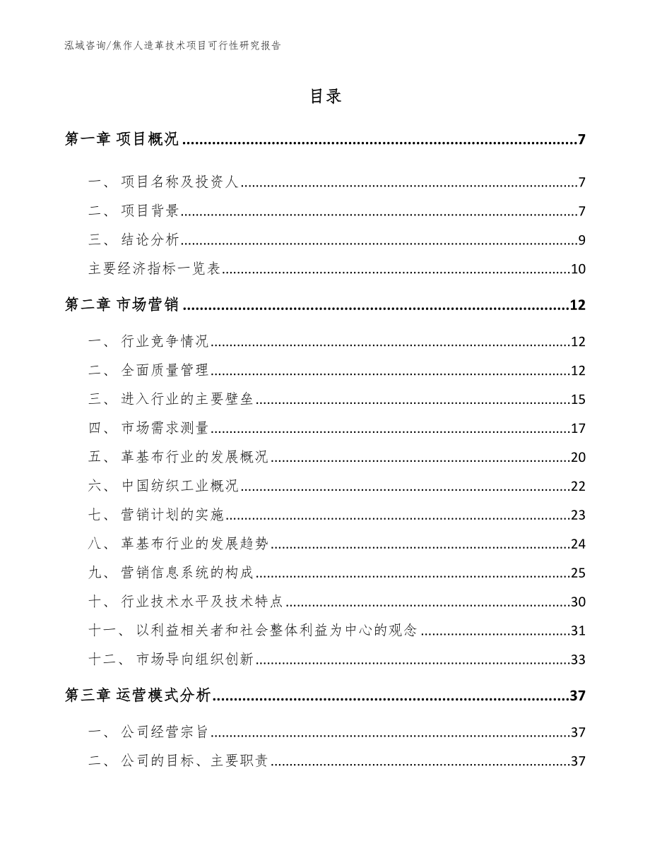 濮阳人造革技术项目可行性研究报告_第1页