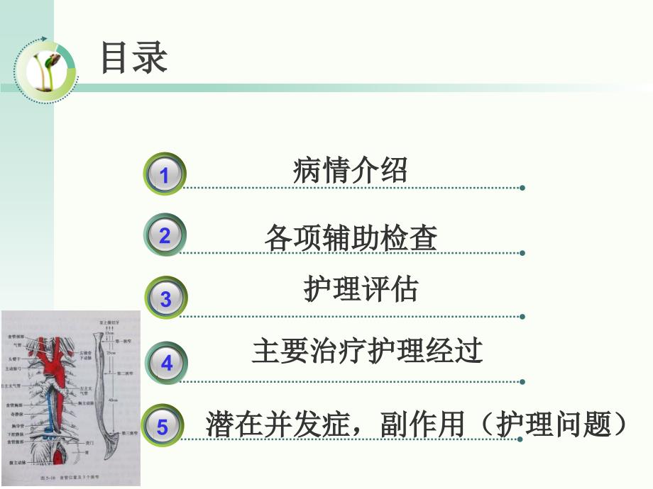 食道癌个案护理11课件_第1页