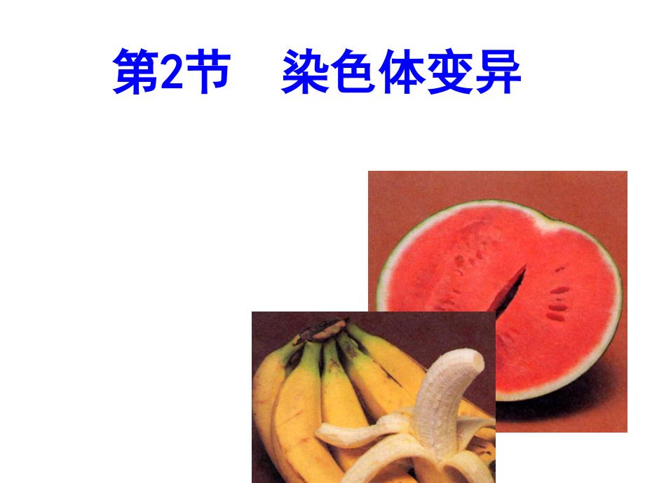 染色体变异课件_2_第1页