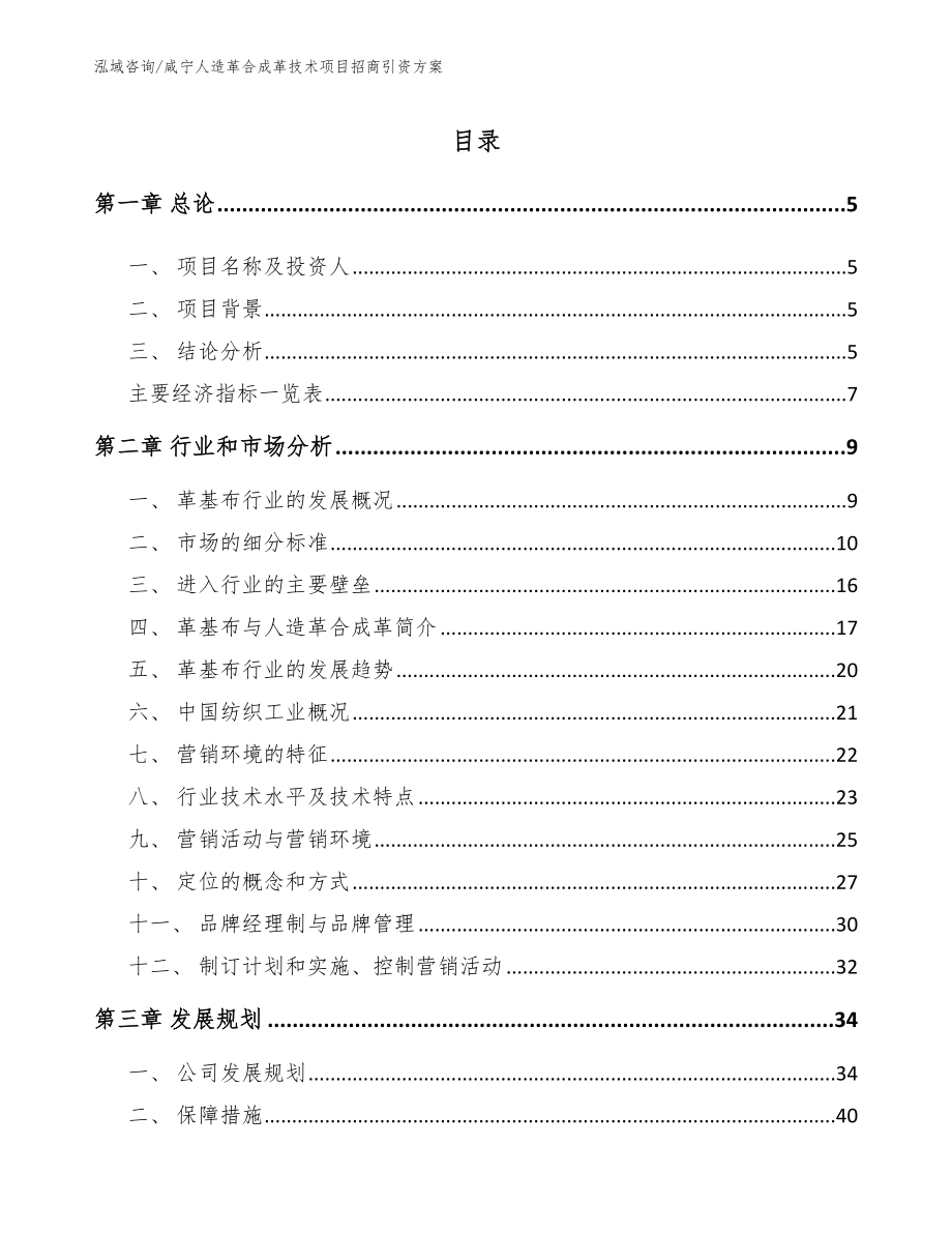 咸宁人造革合成革技术项目招商引资方案（模板参考）_第1页