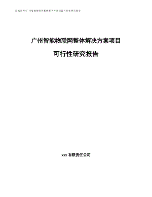 广州智能物联网整体解决方案项目可行性研究报告