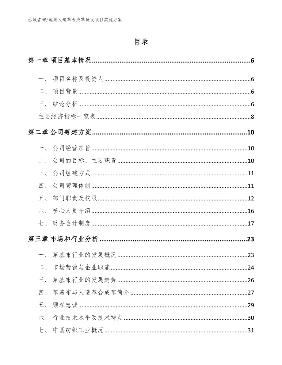 池州人造革合成革研发项目实施方案_第1页