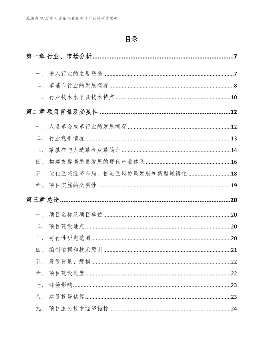 辽宁人造革合成革项目可行性研究报告_第1页